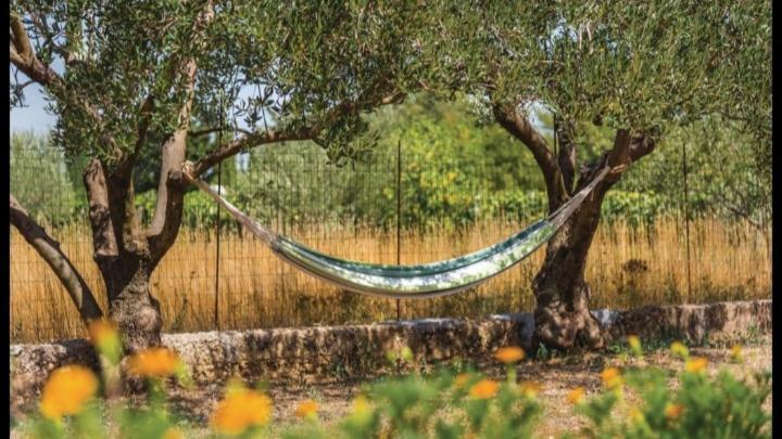 Olive Tree House With Jacuzzi, Wifi And 40M2 Pool Villa Siritovci Luaran gambar